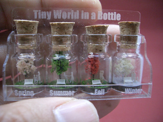 Tiny trees with a couple & family in four seasons in a tiny bottle in a small cute case