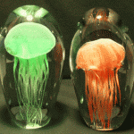 Resin Jelly Fish Lamp Mimics Natural Bio-Luminescence Effect