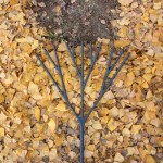 Tree Shaped Garden Rake Brings Falling Leaves Full Circle