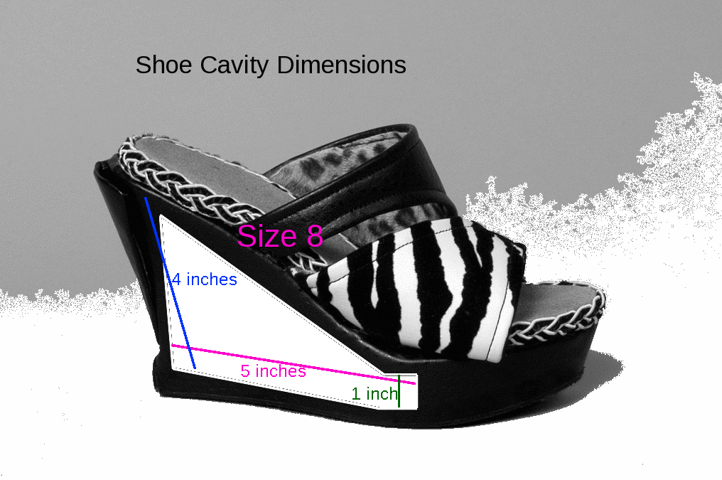 Shoe Cavity Demo