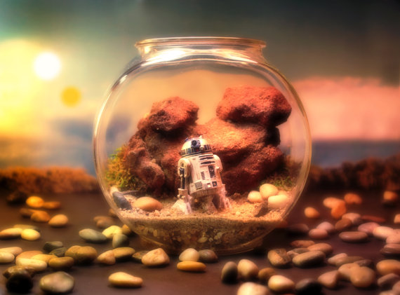 R2D2 on Tatooine - Star Wars Terrarium World