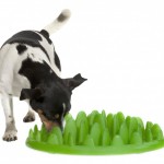 Curb Canine Gluttony With Green Interactive Feeder
