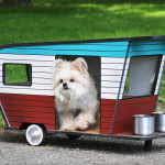 Get the Doggies Rolling… In a Dog Trailer